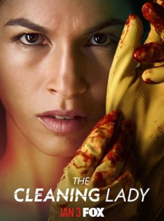 voir THE CLEANING LADY Saison 12 en streaming 