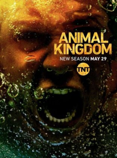 voir serie Animal Kingdom en streaming