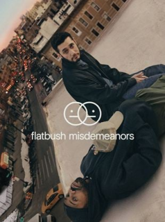 voir serie Flatbush Misdemeanors en streaming