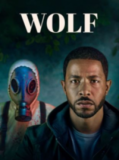 voir Wolf saison 1 épisode 2