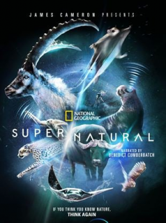 voir serie Les pouvoirs extraordinaires de la nature en streaming