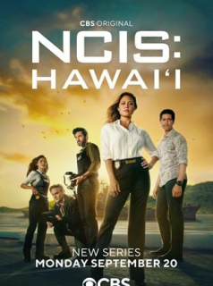 voir NCIS : Hawaï saison 1 épisode 14